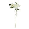 The Natural Garden Collection White Charity Rose - Image 3