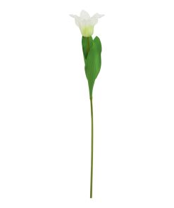 The Natural Garden Collection White Parrot Tulip