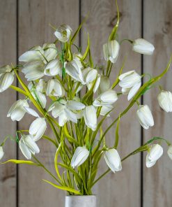 The Natural Garden Collection White Fritillaria Stem