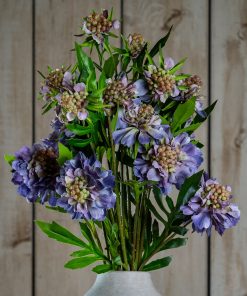 The Natural Garden Collection Purple Scabious Stem