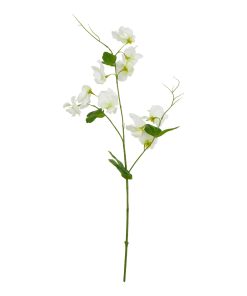 The Natural Garden Collection White Sweetpea Stem