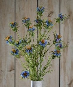 The Natural Garden Collection Purple Nigella Love In A Mist