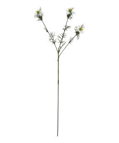 The Natural Garden Collection White Nigella Love In A Mist
