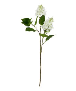 The Natural Garden Collection White Lilac Stem