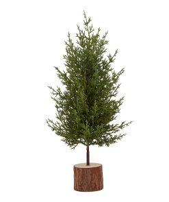 Small Green Fir Tree In Wood Log