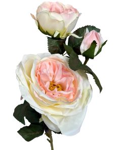 The Natural Garden Collection Pink Charity Rose