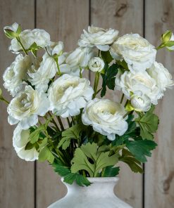 The Natural Garden Collection Apricot Ranunculus