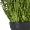 Large White Allium Plant In Pot - Image 4