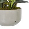 Large White Orchid In Ceramic Pot - Image 4