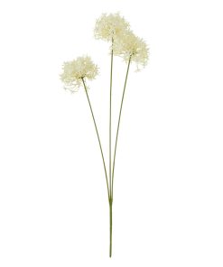 Three Head Cream Allium Spray