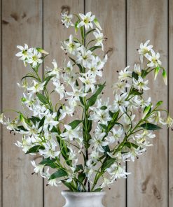 Turks Cap Green Lily Spray