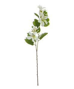Cream Bauhinia Orchid Spray