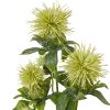 Green Safflower Spray - Image 2