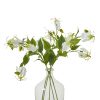 Cream Gloriosa Spray - Image 3