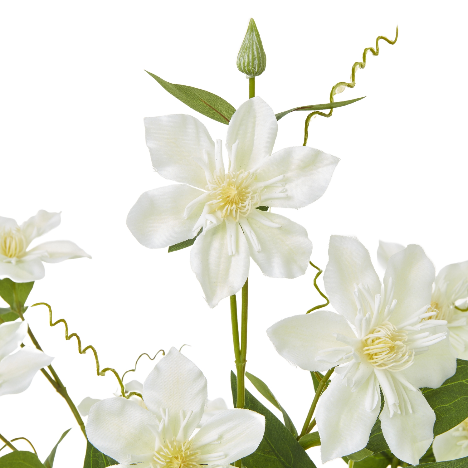 Cream Pearl Clematis Spray - Image 2
