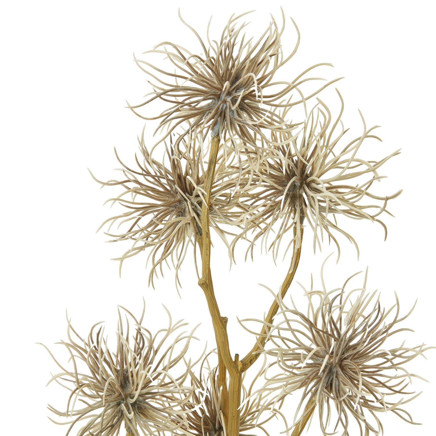 Brown Xanthium Spray - Image 2
