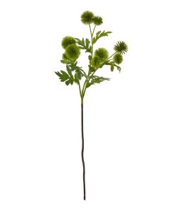 Green Globe Thistle Spray