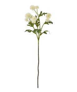 Cream Globe Thistle Spray