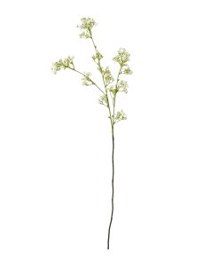 Cream Gypsophila Spray