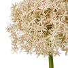 Pink Giant Allium Stem - Image 2