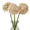 Pink Giant Allium Stem - Image 3