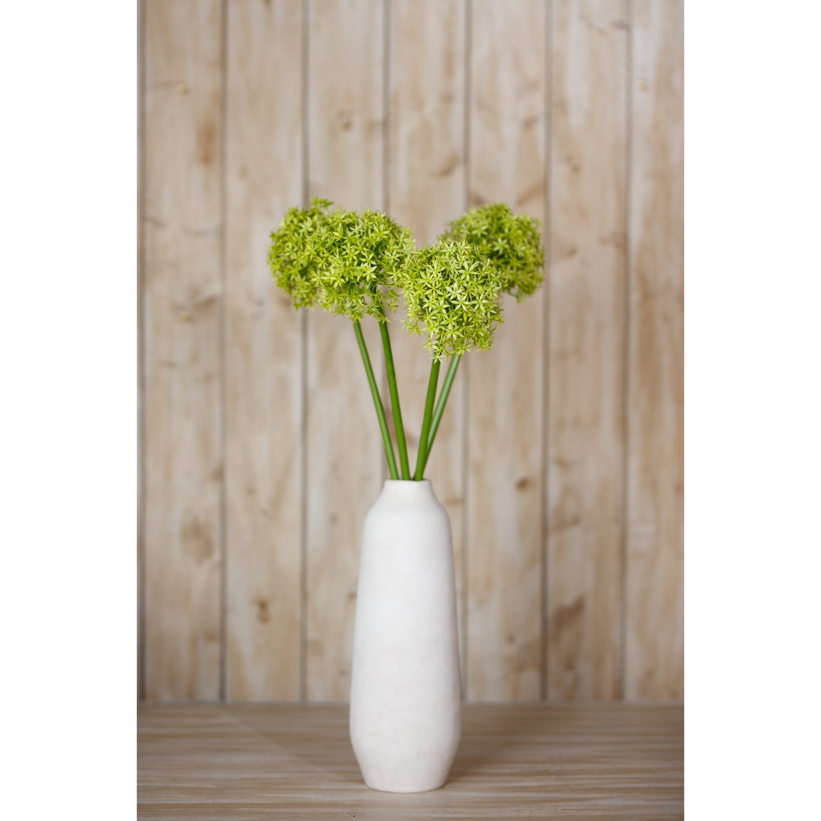 Green Giant Allium Stem - Image 4