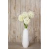 Cream Medium Allium Stem - Image 4
