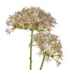 Lilac Crown Hydrangea Stem - Image 2