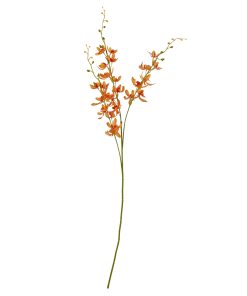 Orange Cymbidium Spray