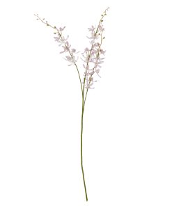 Lilac Cymbidium Spray
