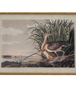 Flora & Fauna Collection Curlews On Linen In Beaded Frame