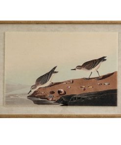 Flora & Fauna Collection Stints On Linen In Beaded Frame