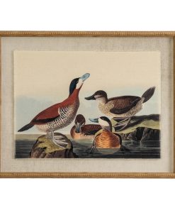 Flora & Fauna Collection Ducks On Linen In Beaded Frame