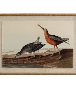 Flora & Fauna Collection Snipes On Linen In Beaded Frame