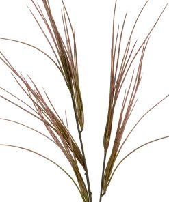 Brome Grass Spray