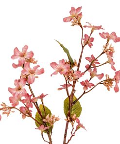 Pink Vernicia Fordii Spray