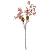 Pink Vernicia Fordii Spray - Image 2