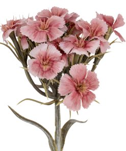 Pink Dianthus Spray