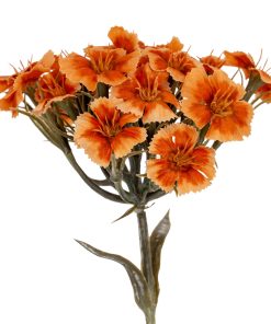 Orange Dianthus Spray