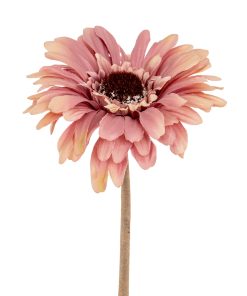 Pink Gerbera Stem