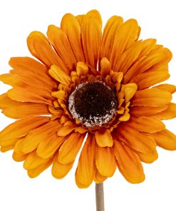 Soft Yellow Gerbera Stem