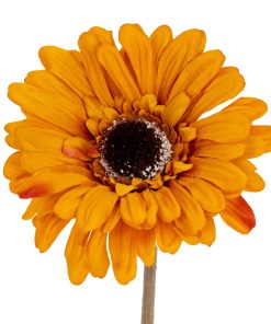 Orange Gerbera Stem