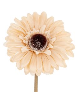 Cream Gerbera Stem