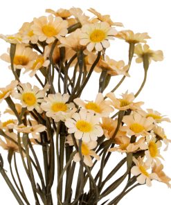 Cream Daisy Bunch