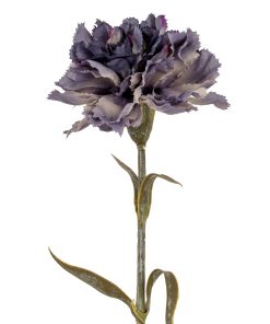 Purple Carnation Stem