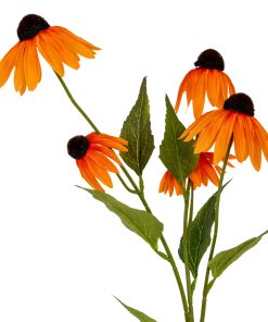 Orange Echinacea Spray