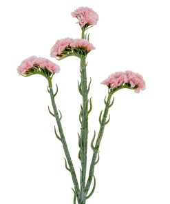 Pink Statis Spray
