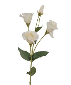 White Lisianthus Spray