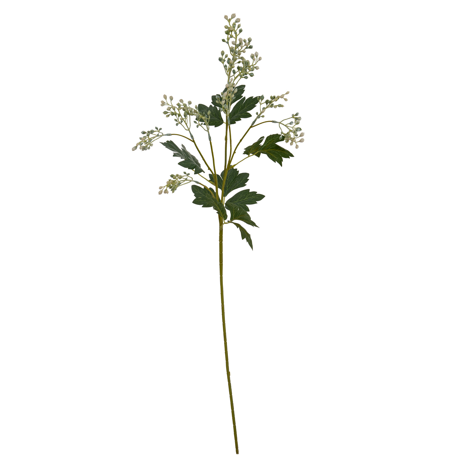 Milk Thistle Bud Spray - Image 5