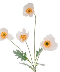 Cream Papaver Poppy Spray